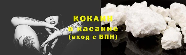 винт Богданович