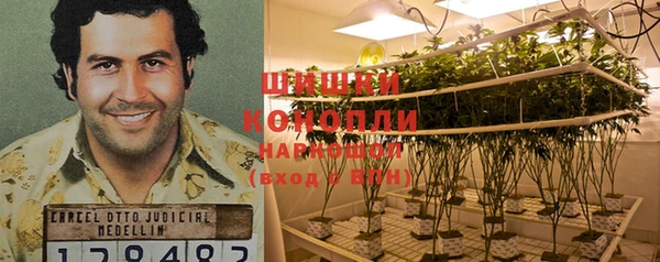 MDMA Богородицк