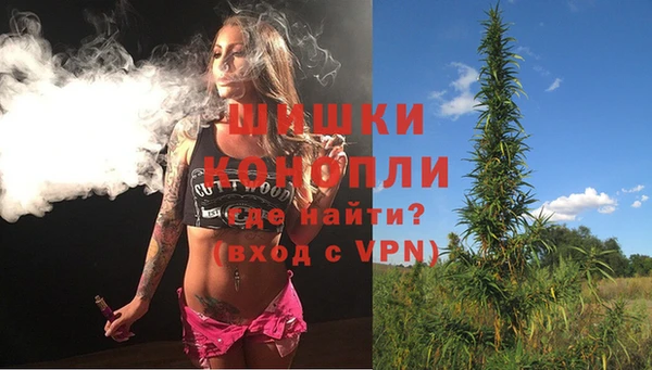 винт Богданович