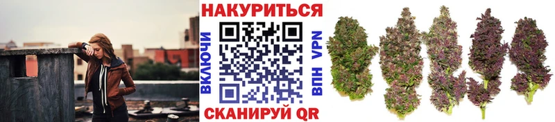 hydra зеркало  Нестеров  Марихуана семена 